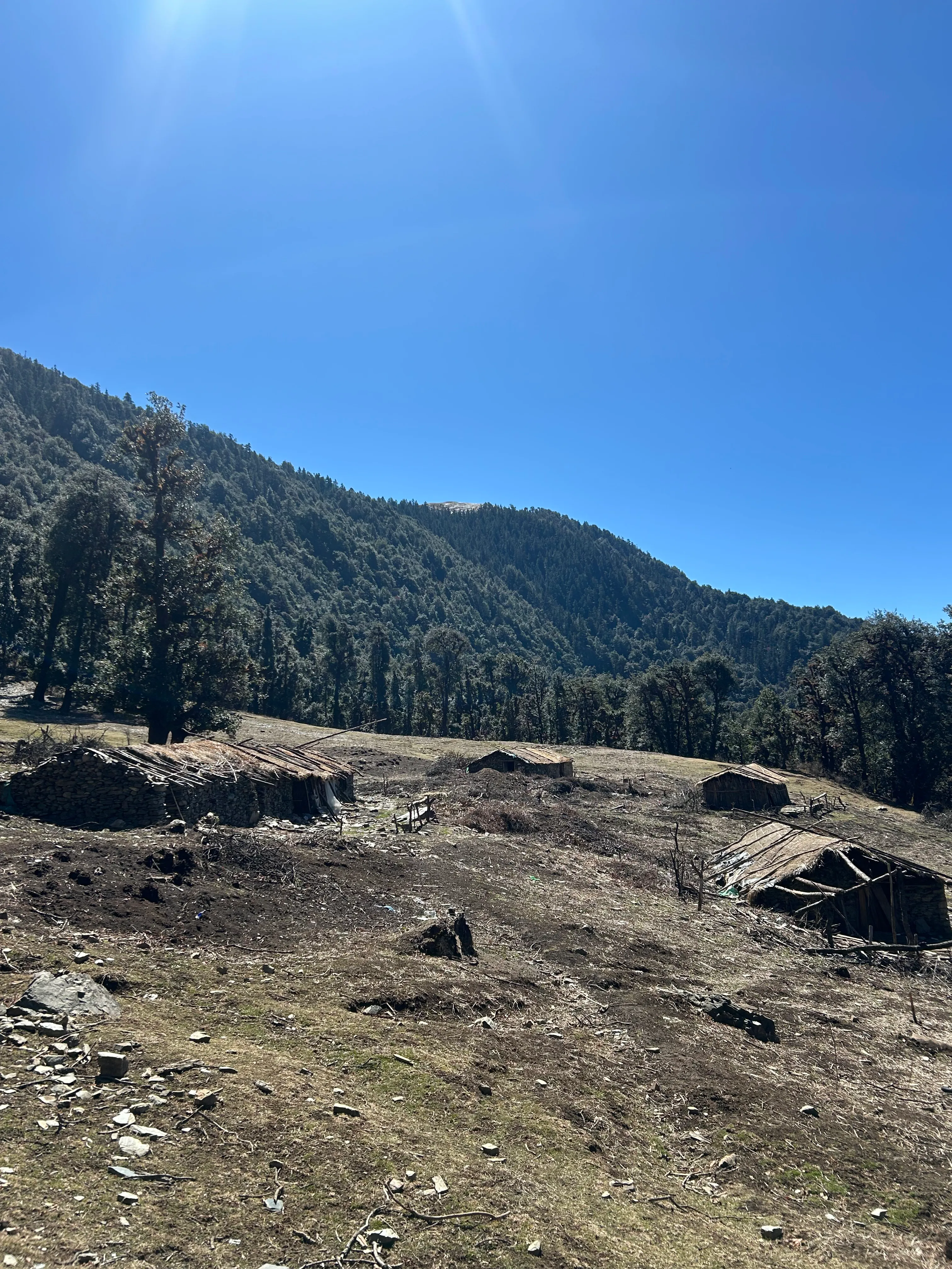 Ali Bedni Bugyal Trek - Breathtaking high-altitude alpine meadows and Trishul views