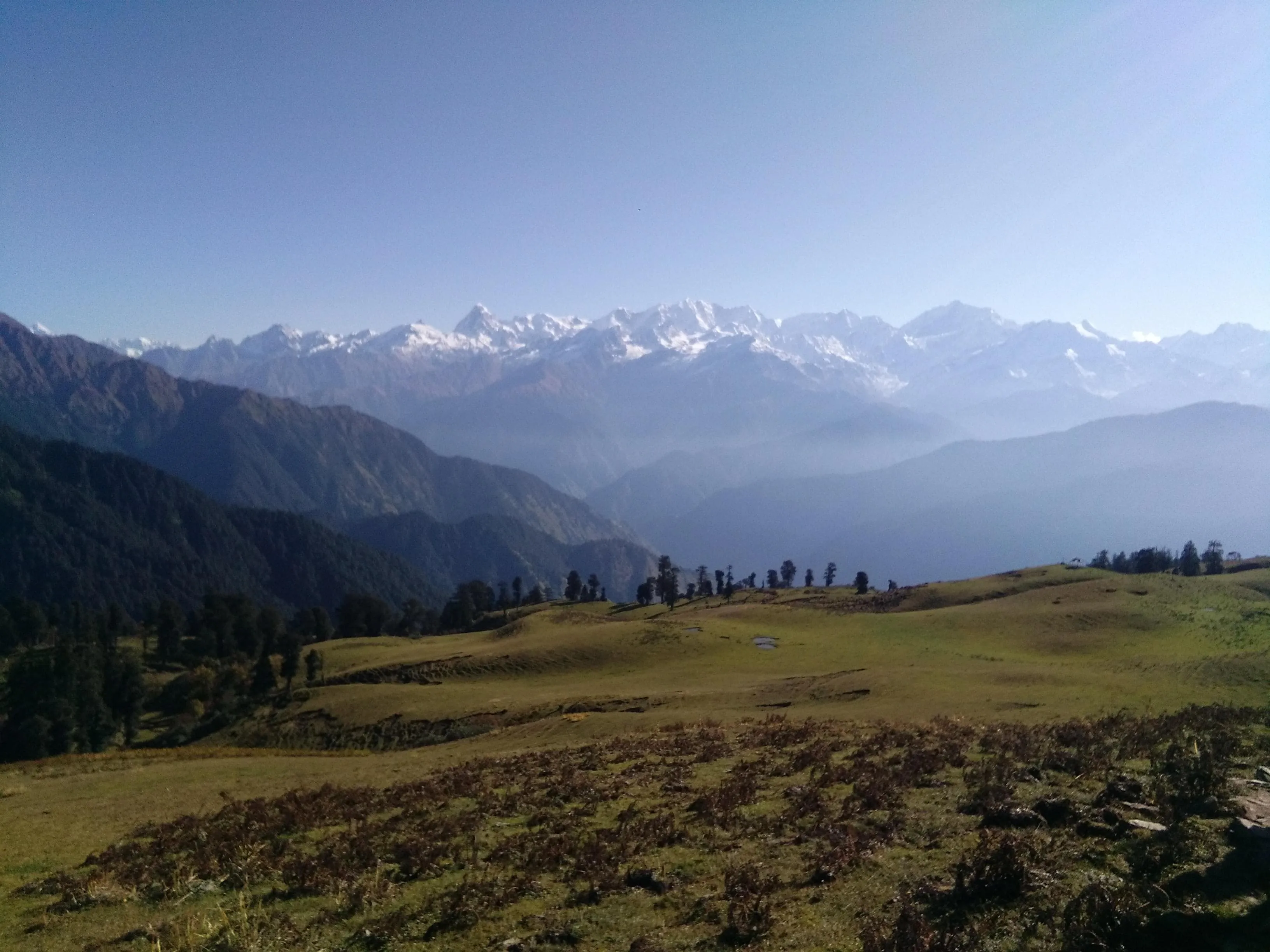 Dayara Bugyal Trek - Expansive green alpine meadows ideal for beginner trekkers