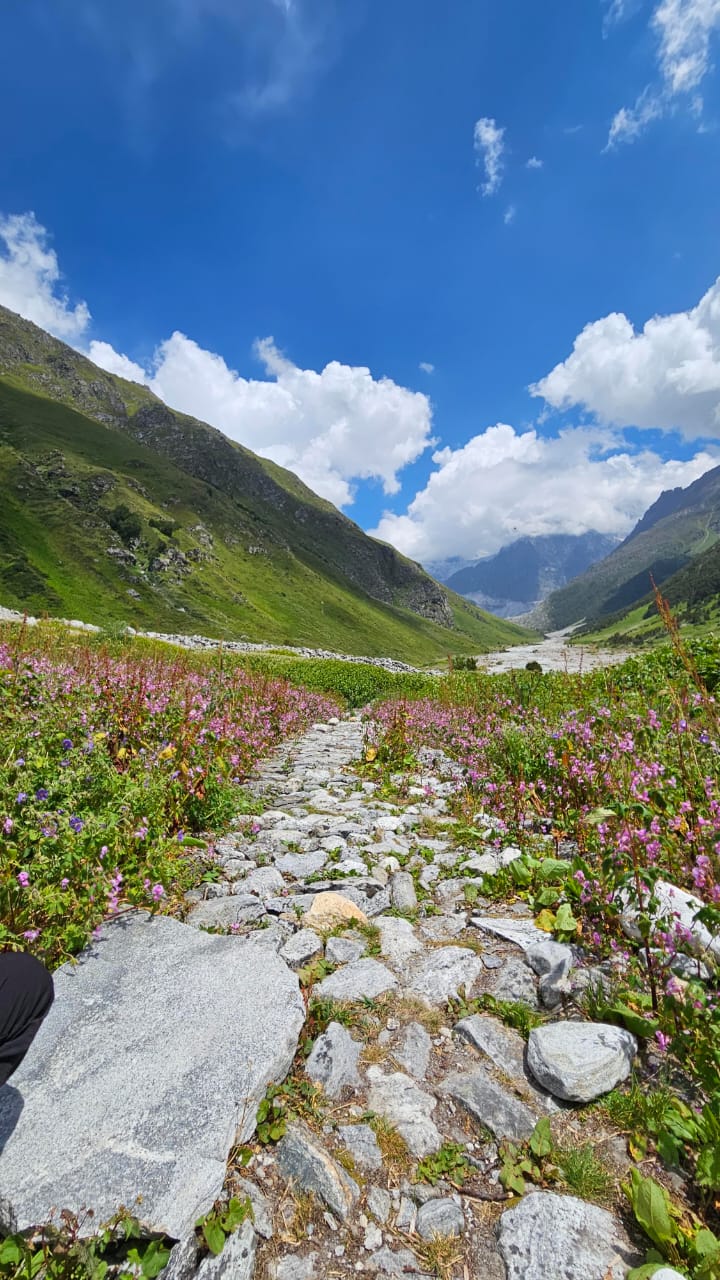 valley of flower trek 10