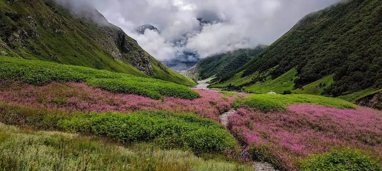 valley of flower trek 11