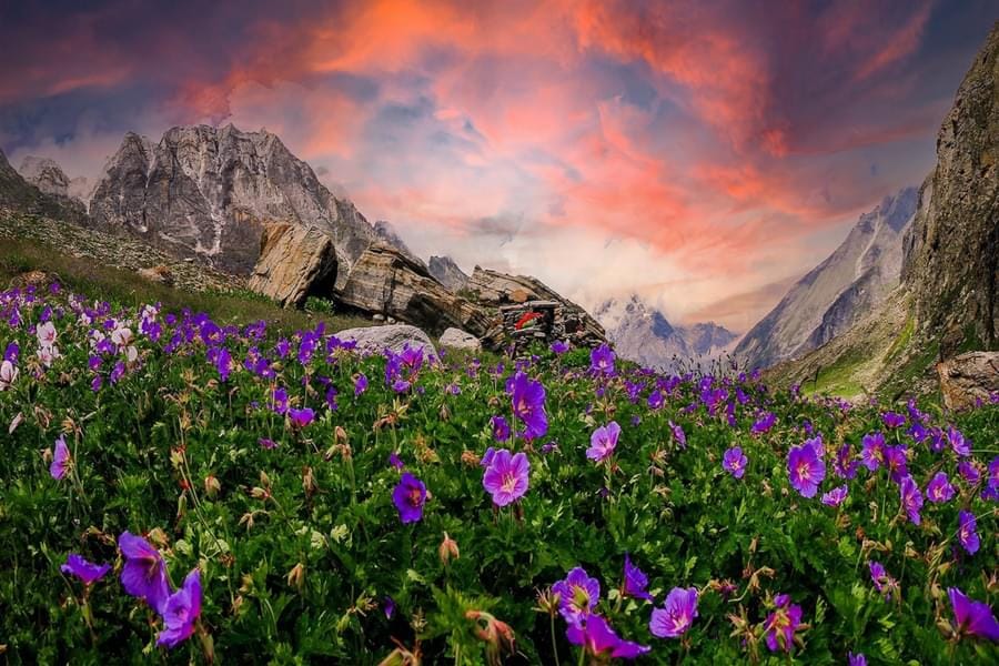 valley of flower trek 3