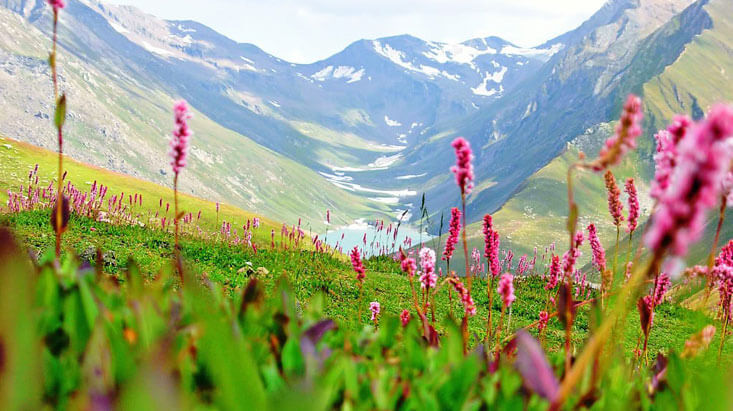 valley of flower trek 4