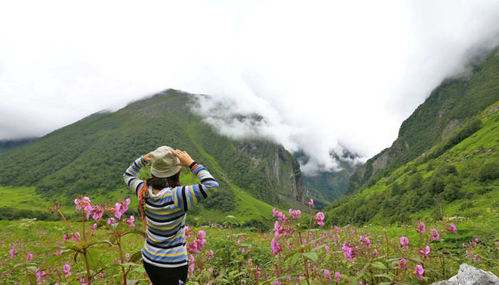valley of flower trek 9